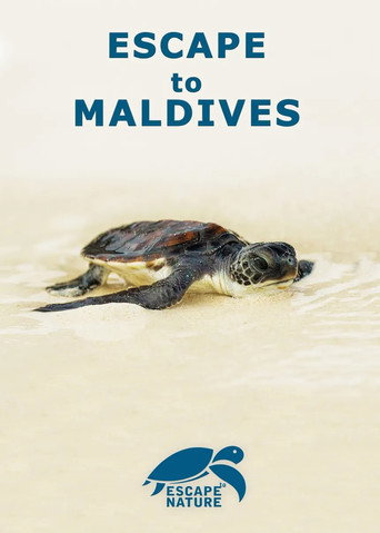 Escape to Maldives poster