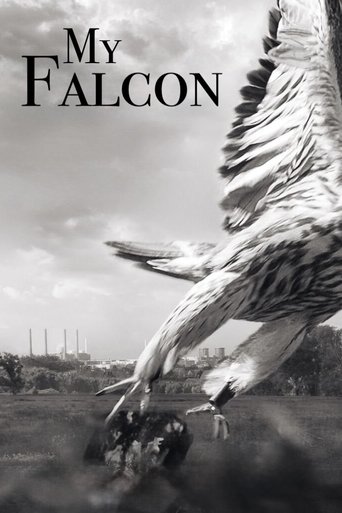My Falcon (2023)