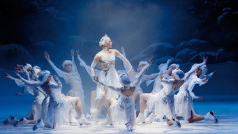 Swan Lake (2010)