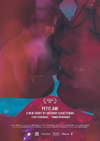 Petit ami (2017)