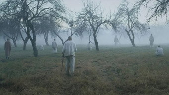 Exiled (2016)