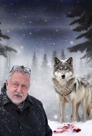 Leif GW och vargen poster