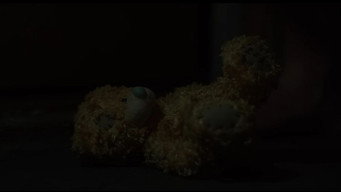 Girl with a Teddy Bear (2024)