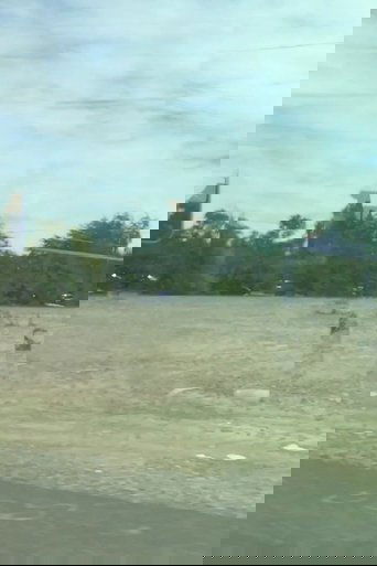 This Cacophony Runs Over Me (2017)