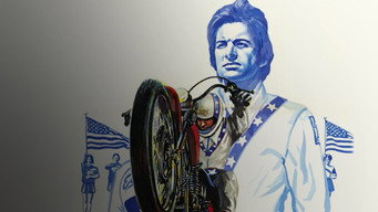 #8 Evel Knievel