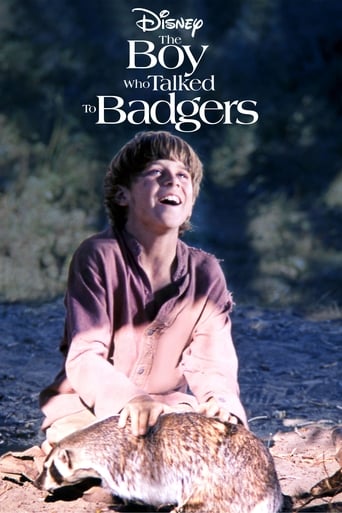 Poster för The Boy Who Talked to Badgers