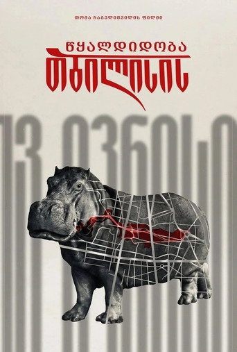 თბილისის წყალდიდობა