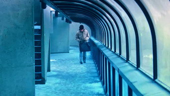 The Disappearance (1977)