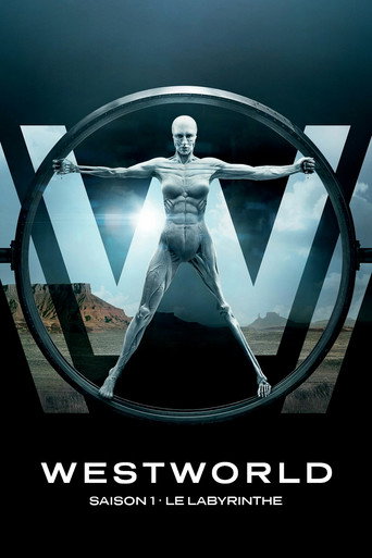 Westworld - S1 - Épisode 4 : Théorie de la dissonance - Affiche