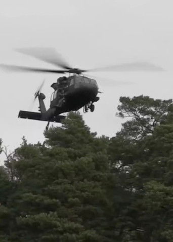 Notes on a Pine Forest (2018)