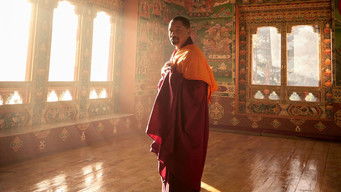 De polo a polo con Will Smith