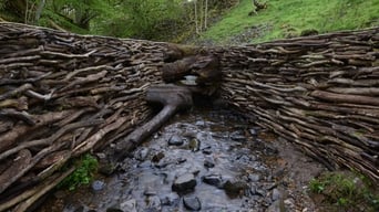 Leaning Into the Wind: Andy Goldsworthy (2017)