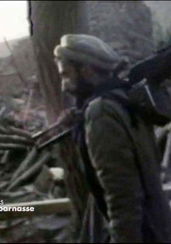 Les combattants de l'insolence