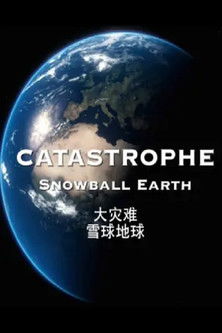 大灾难 poster