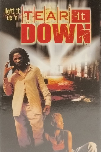 Tear It Down (1999)