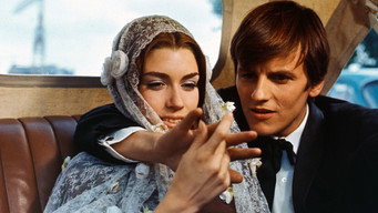 Spray of the Days (1968)