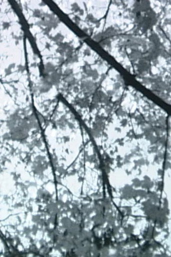 Branches Along the Trail (2018)