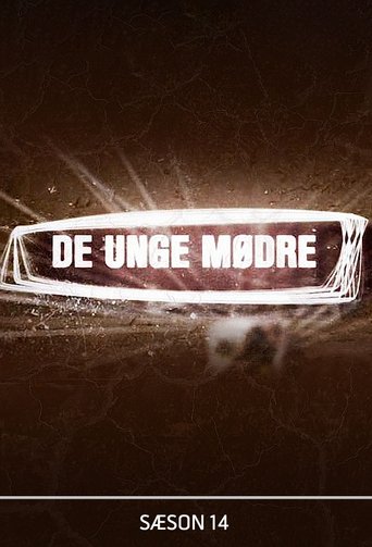 De unge mødre: Season 14