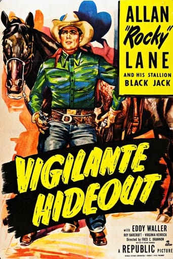 Poster of Vigilante Hideout