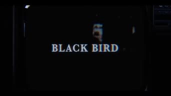 #19 Чорний птах
