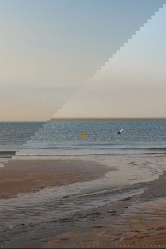 albion, refreshed