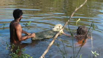 Cena de A Caça do Jacaré