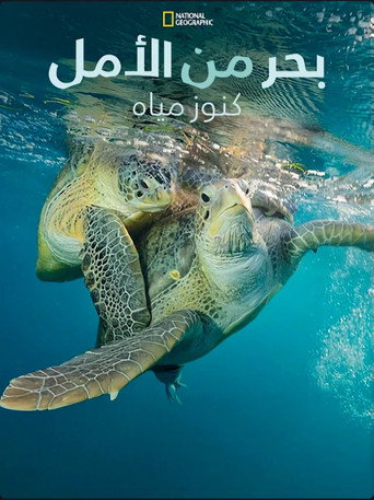 بحر الأمل: كنوز أميركا تحت الماء