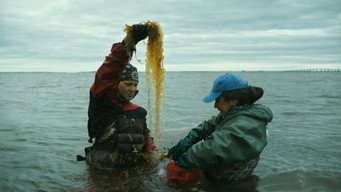 Seaweed Stories – Szenenbild