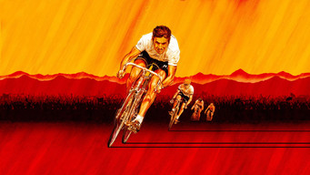 #6 MERCKX