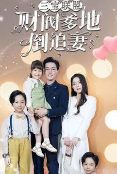 三宝联盟，财阀爹地倒追妻 poster