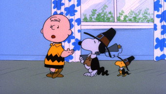 A Charlie Brown Thanksgiving backdrop 8