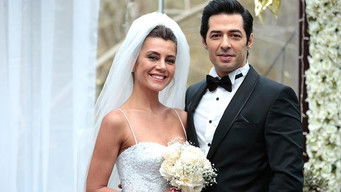 Aflevering 13 — Episode 13