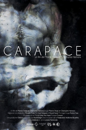 Carapace 포스터