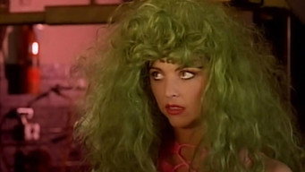 Vice Academy 4 (1995)