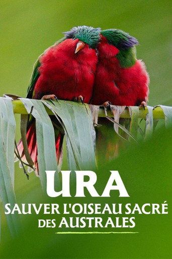 Ura, sauver l'oiseau sacr&eacute; des australes (2024)