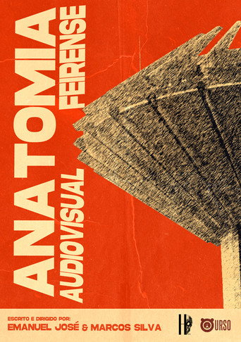 Anatomia Audiovisual Feirense (2024)