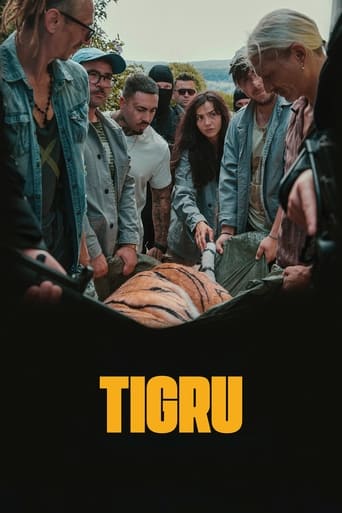 Poster of Tigru