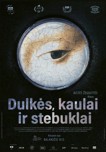 Dulkės, kaulai ir stebuklai (2026年)のポスター画像 - FindKey