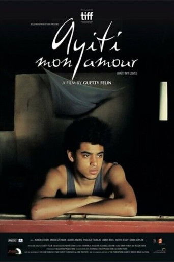 Ayiti mon amour (2016)