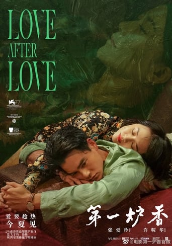 Poster of Love After Love