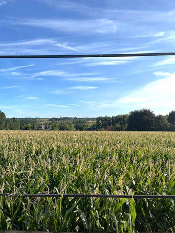 Cinema Belv&eacute;d&egrave;re (1970)