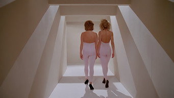 Pleasure Maze (1986)