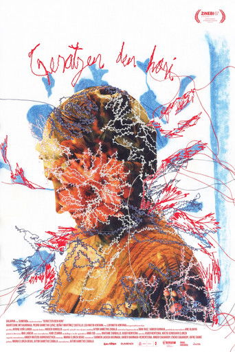 Cartell de Geratzen den hori