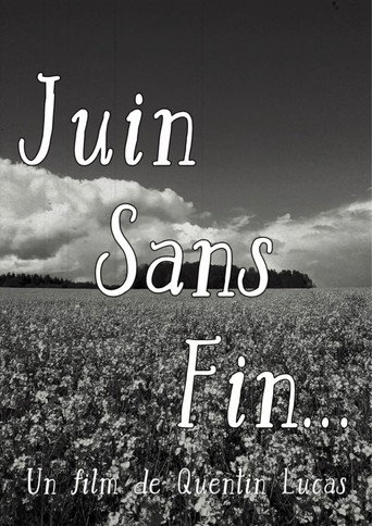Juin sans fin... poster