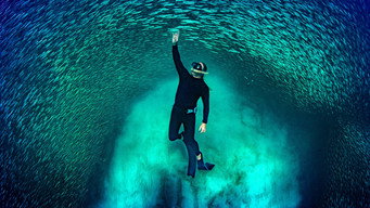 Ningaloo Nyinggulu (2023)