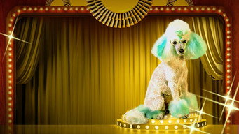 #5 Haute Dog