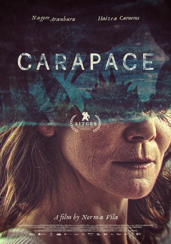 Carapace poster