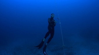 Red Sea