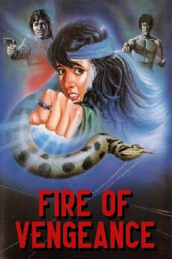 Poster of Fire of Vengeance