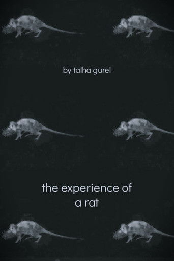 The Experience of a Rat (2025)